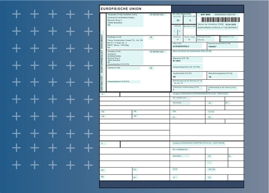 Extract Fields from Customs Declarations